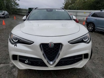 Alfa Romeo Stelvio 2018 Alfa Romeo Stelvio Quadrifoglio 2018 2.9l 2.9 Benzyna 505KM, zdjęcie 5