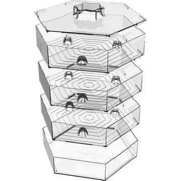 НАБОР СЕМЕН РЕДИСА SPRINGER 3 УРОВНЯ