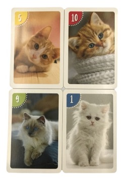 Питерские карты. Кошачья память.