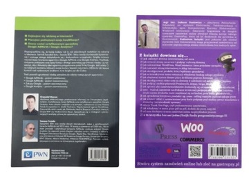 Google AdWords и Analytics, WordPress: установить