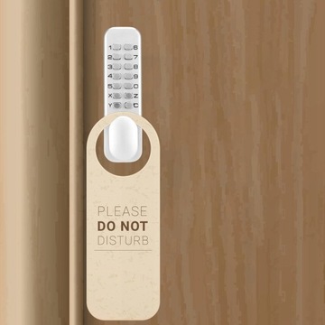 Внешняя ручка 156369 Длинная пластина