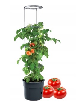 Горшок для выращивания томатов, комплект Tomato Grower IPOM300 антрацит