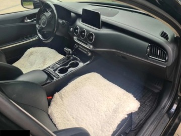 Kia Stinger 2018 Kia Stinger 2.0 T-GDI GT Line 2018r, zdjęcie 7