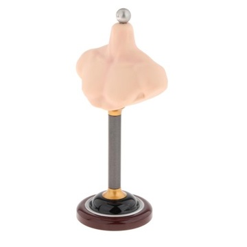 1/6 Męska figura pół ciała bez rzeźby głowy