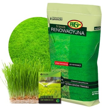 TRAWA NASIONA RENOWACYJNA REGENERACYJNA DO ODNAWIANIA NOWY TRAWNIK 5KG