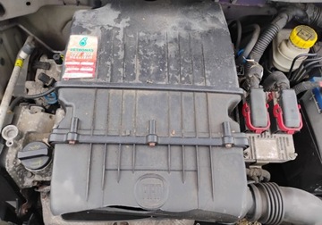 Fiat Panda II Hatchback 5d 1.2 69KM 2012 Fiat Panda I rej 2013r, 1.2 Benzyna. Lekko uszkodzony przod. Jezdzi. 1.2, zdjęcie 19