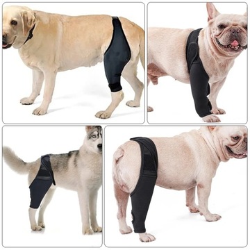 Удобная шлейка для собак, задняя нога, передняя часть питомца