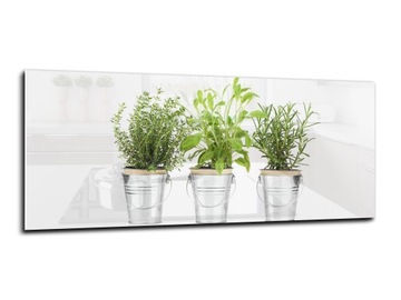 panel szklany między meble dekor 125x50 zioła
