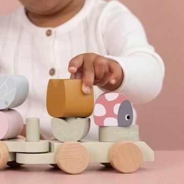 Маленький голландский поезд «Цветы и бабочки»