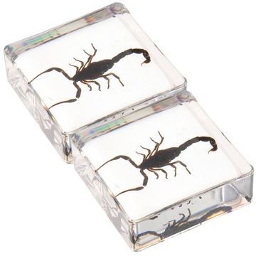 Образец украшения стола «Скорпион» в области биологии смолы