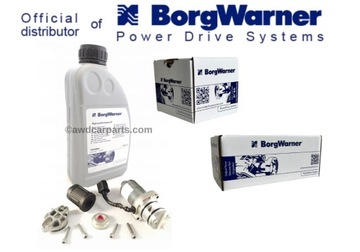 Pompa Filtr Olej Haldex 4 gen Ford 9V4N-4C019-AA