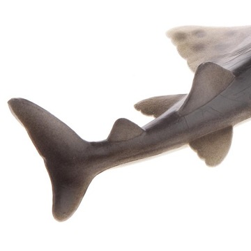 Модель рыбы-пилы