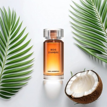 KARL LAGERFELD BOIS D'AMBRE 100ML Туалетная вода МУЖСКИЕ ДУХИ