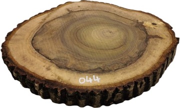 Срез грецкого ореха 53x46 Дерево для смолы