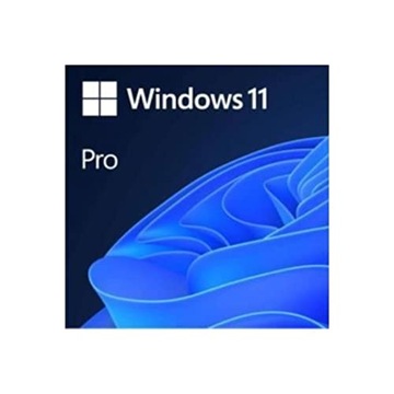 OPRMICOSY0406 MS Windows 11 Professional 64bit English 1pk DVD OEM