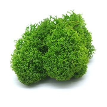 Финский мох нетто 4кг.