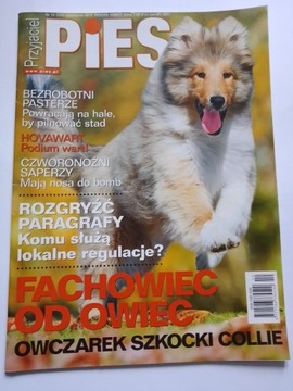 Przyjaciel Pies magazyn Owczarek Szkocki Collie