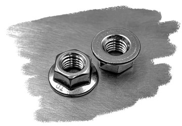 M6 A2 ГАЙКА ФЛАНЕЦ ИЗ НЕРЖАВЕЮЩЕЙ НЕРЖАВЕЮЩЕЙ, ГЛАДКАЯ 6923 (10)