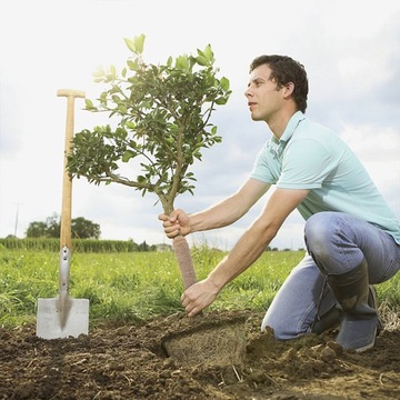 ЛЬНЯНОЙ БАНДАЖ ДЛЯ УПЛОТНЕНИЯ ДЕРЕВЬЕВ