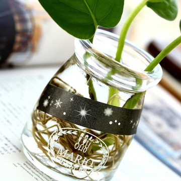 Малярная лента Васи Декоративная лента Васи