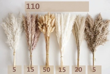 Сушеная декоративная трава пампасов для вазы