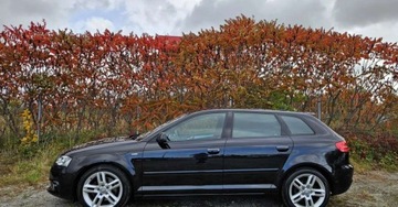 Audi A3 8P Hatchback 3d 1.8 TFSI 160KM 2012 Audi A3 Sportback S-LINE 1.8Turbo 160ps Navi Ledy Bixenon Polskory Parktro, zdjęcie 10