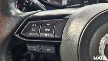 Mazda CX-3 Crossover 2.0 SKY-G 120KM 2017 Mazda CX-3 2.0benz Manual Navi LIFT kamera climatronic 100 bezwypadek Skora, zdjęcie 15