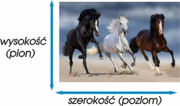 Fototapeta na wymiar krajobraz, łąka widok