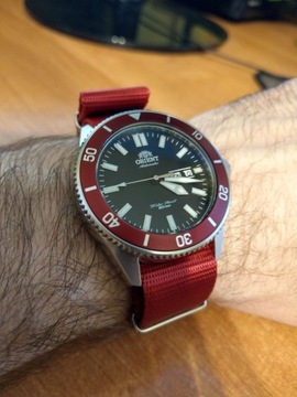 Nato AlphaShark Pinot Noir 22mm kl.matowe