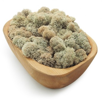 Финский мох 500г нетто, натуральный