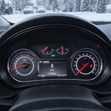 Opel Insignia I Country Tourer 2.0 CDTI Ecotec 163KM 2015 Opel Insignia A 2.0 163KM CDTI Automatik Edition, zdjęcie 22