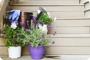 Koopmans Houtolie Wood, масло для террас 20л 020