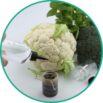 НАБОР МАЛЕНЬКОГО САДОВНИКА - ДЕТСКИЕ ИНСТРУМЕНТЫ ДЛЯ ПОСЕВА РАСТЕНИЙ - НАСТУРЦИЯ