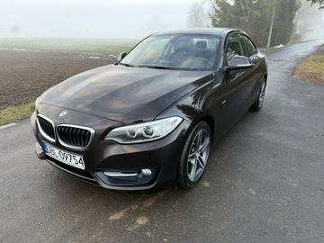 BMW Seria 2 F22-F23-F45-F46 Coupe 220i (Euro 6) 184KM 2016 BMW 220 2.0i 184KM 68tys.km. Navi Bezwypadkowy, zdjęcie 14