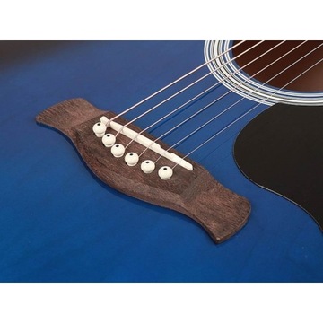 RICHWOOD RD-12BUS СИНЯЯ АКУСТИЧЕСКАЯ ГИТАРА