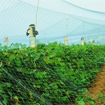 ЗАЩИТНАЯ СЕТКА ДЛЯ ПТИЦ, ОЧЕНЬ ПРОЧНАЯ ОТ ПТИЦ 8x14