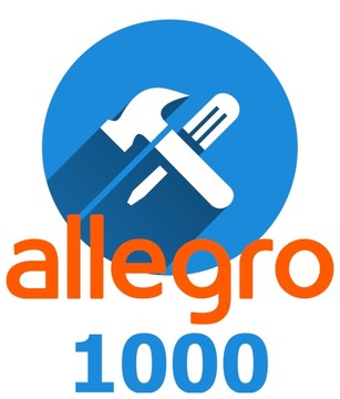 Masowa edycja koretkta tekstu aukcje allegro 1000