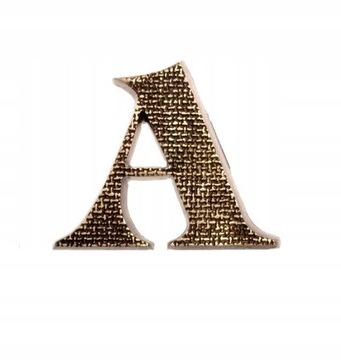 Litera MOSIĘŻNA na dom 