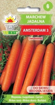 Marchew wczesna Amsterdam 3 5g TORAF