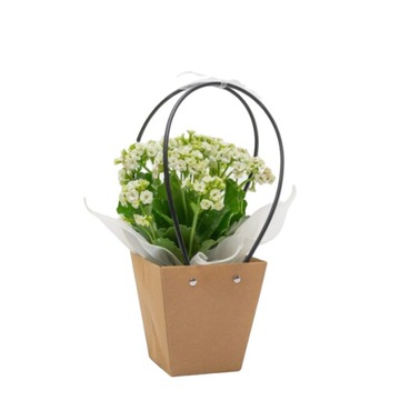 Torebka na kwiaty Flower Box Dzień Matki Dla Nauczyciela Ślub EKO 3244