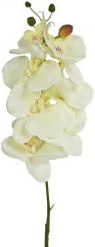 ОРХИДЕЯ ВЕТКА ОРХИДЕИ С 7 ЦВЕТАМИ 78см