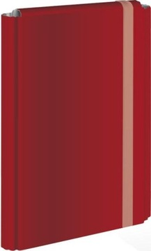 ОДИН ФАЙЛ, ТВЕРДАЯ ОБЛОЖКА, С ЛАСТИКОМ, А4