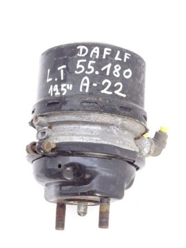 DAF LF 45 55 01-13 SIŁOWNIK HAMULCA LEWY TYŁ 19,5
