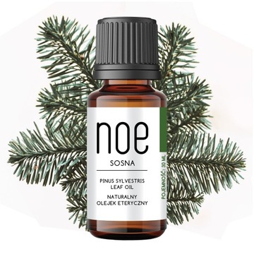 Naturalny olejek eteryczny sosna 30 ml sosnowy