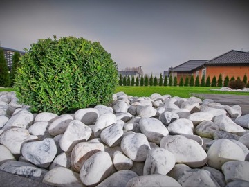 Галька белая галька 40-60 мм для сада.