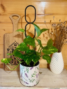 Подставка для растений Climbing Plant Support Лестница для цветов Climbing Flower Support M 31 см