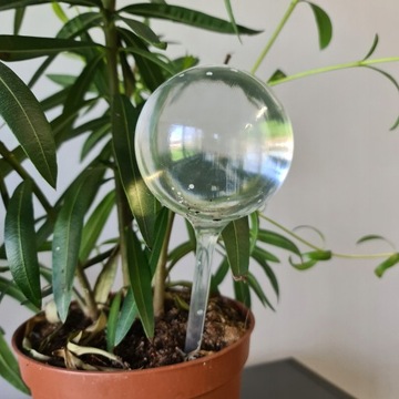 ШАРИКИ ДЛЯ ПОЛИВАНИЯ ДЛЯ ЦВЕТОВ В ГОРШКАХ РАСТЕНИЙ НАБОР ДИСПЕНСЕРОВ ВОДЫ 8 шт.