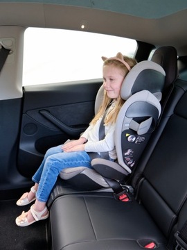 КОВРИК ДЛЯ СИДЕНЬЯ, чехол и защита для бренда TESLA PRINCE LIONHEART