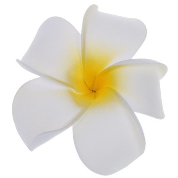 Hawajska Plumeria Frangipani Piankowy Kwiat Kobiety\\\\\\\ s Włosy