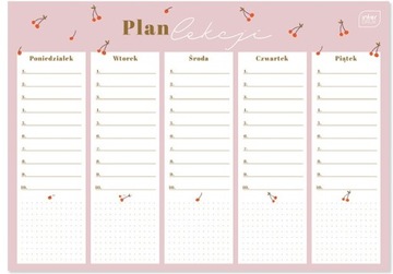 PLAN LEKCJI A4 GIRLS PASTEL INTERDRUK WZ 4